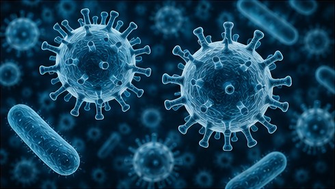 Infectious Diseases Treatment