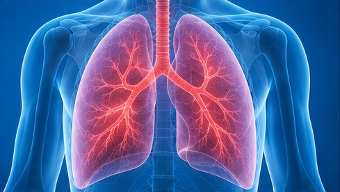 Respiratory & Chest Care